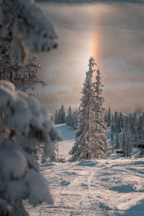 pexels-gustav-lundborg-9429250.jpg