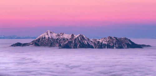 pexels-krivec-ales-547115.jpg