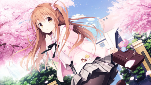 image46d663c799b9a318.png